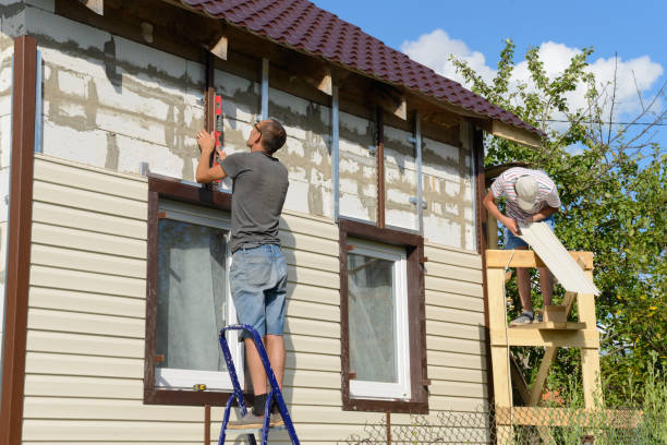 Best Siding Painting and Refinishing  in Van Buren, MO